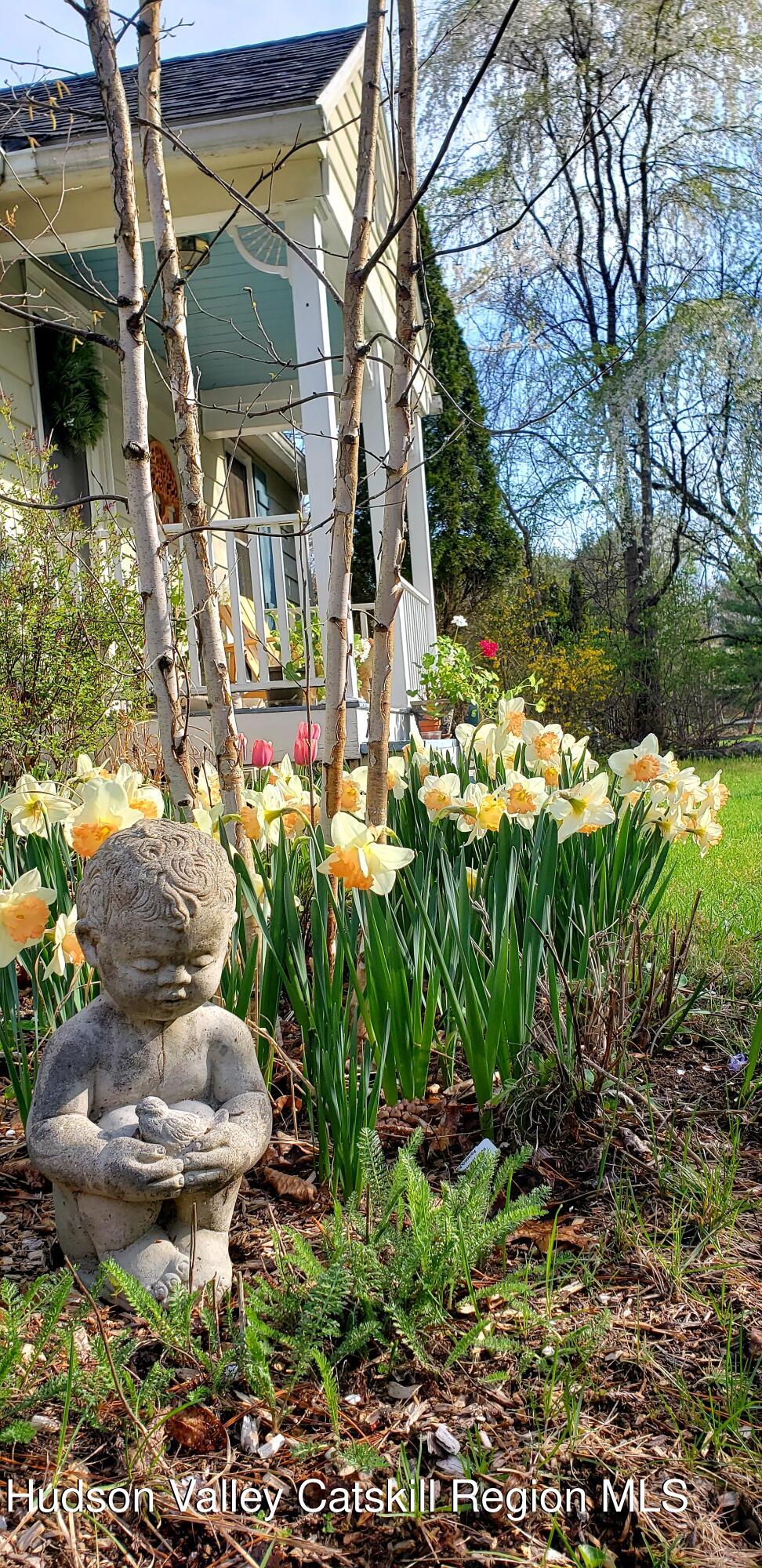 3645 Atwood Road Stone Ridge, NY 12484 - Photo 21 of 26 Sweet daffodils