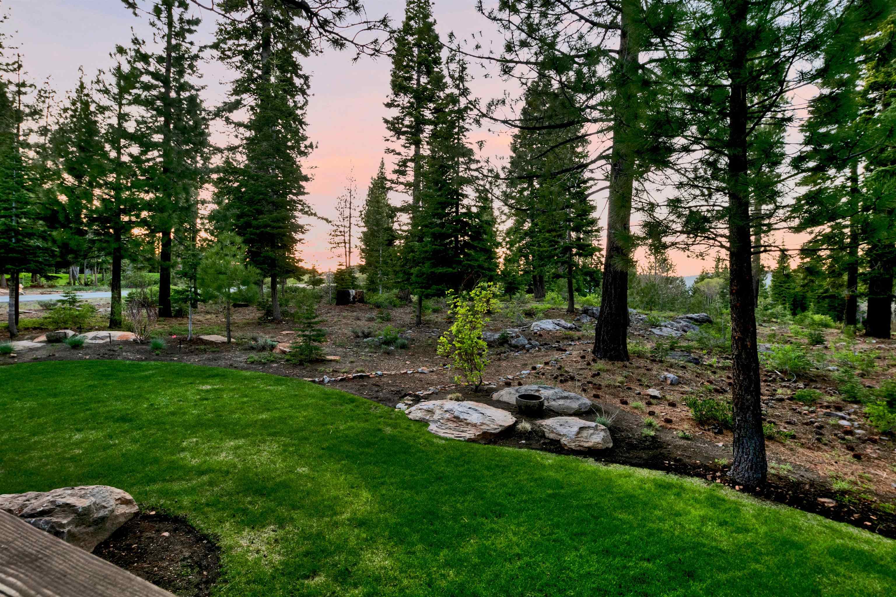 14204 Ski View Loop Truckee, CA 96161 - Photo 28 of 28 a view of a garden with a tree