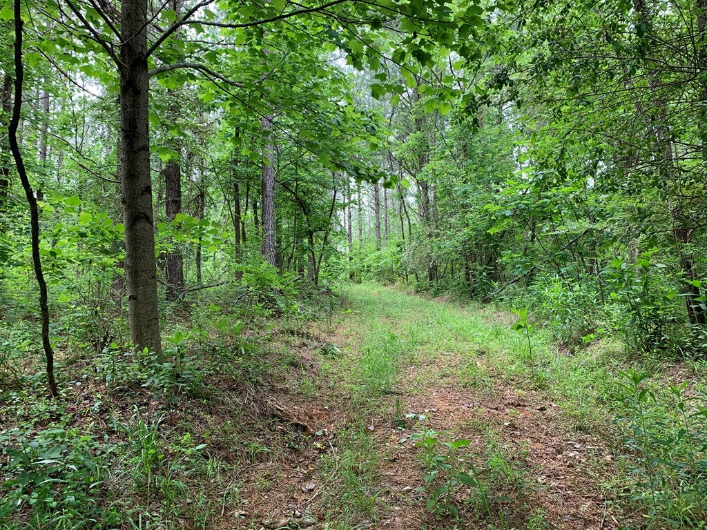 Cove Road Clover, VA 24534 - Photo 19 of 22 Gallery Image 19