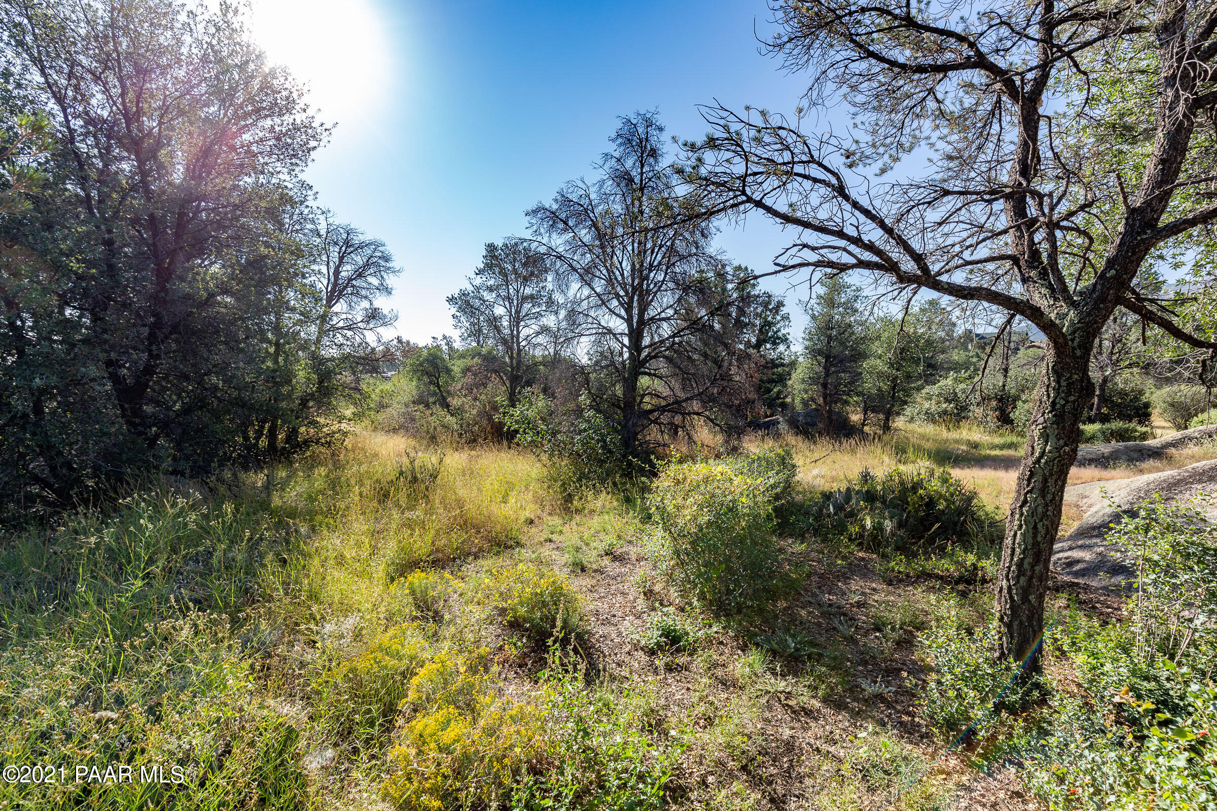 9730 Clear Fork Road Prescott, AZ 86305 - Photo 7 of 28 9730-Clear-Fork-GL-1