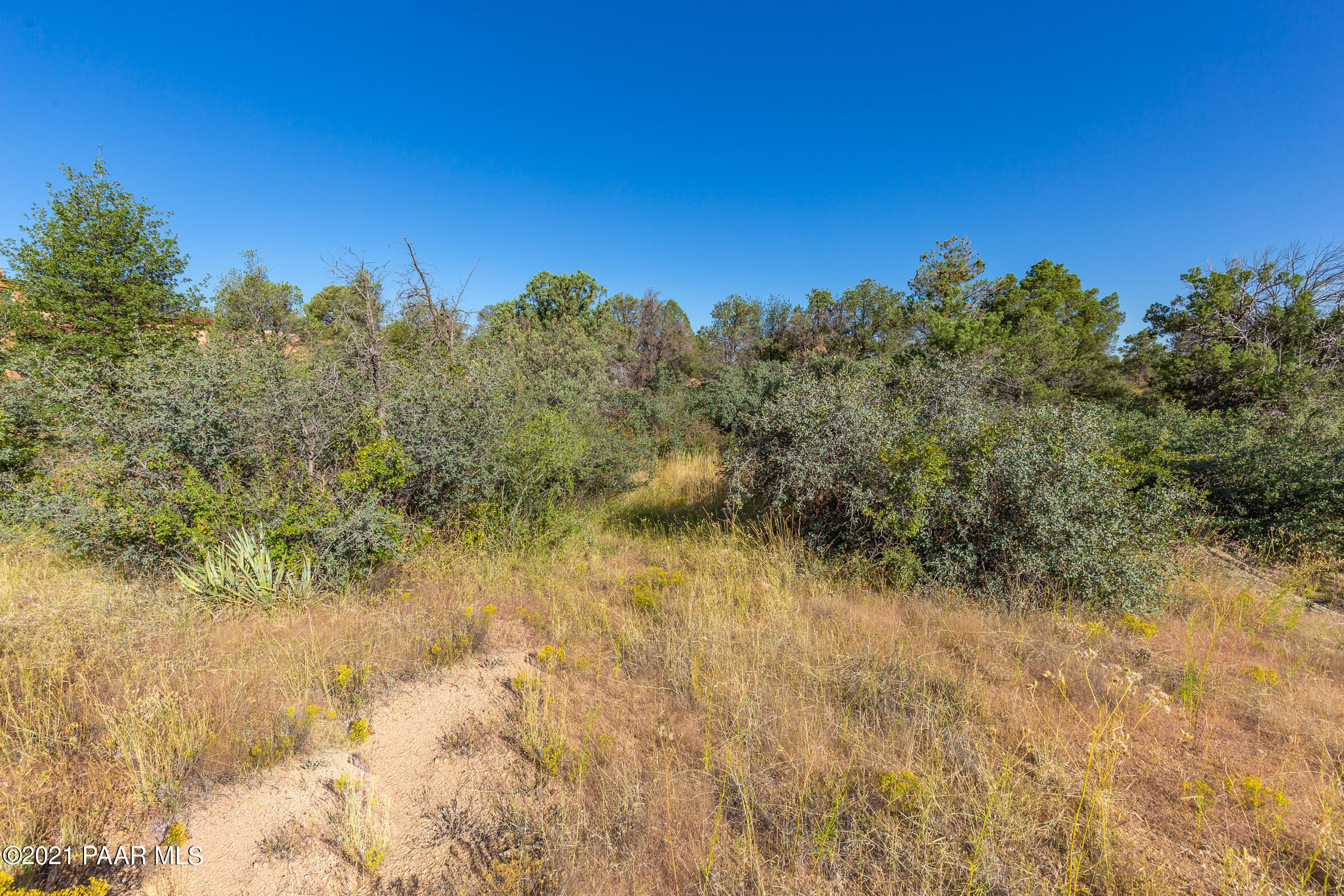 9730 Clear Fork Road Prescott, AZ 86305 - Photo 9 of 28 9730-Clear-Fork-GL-3