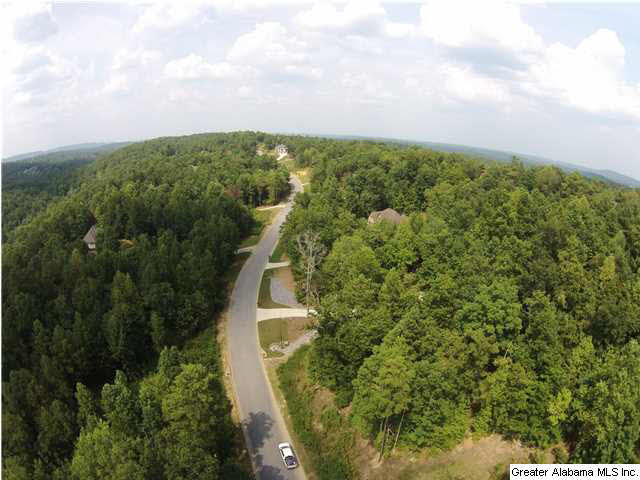 2089 Liv Drive, Unit 314 Trussville, AL 35173 - Photo 4 of 7