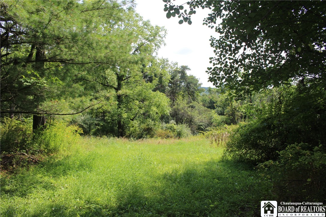 9820 Newton Road Birdsall, NY 14822 - Photo 1 of 1 Gallery Image 1