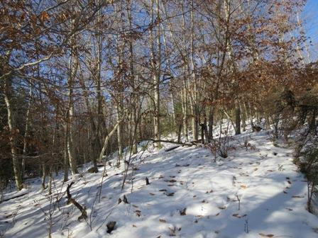 0 Upland Meadows Road Keene, NY 12942 - Photo 5 of 9 Gallery Image 5
