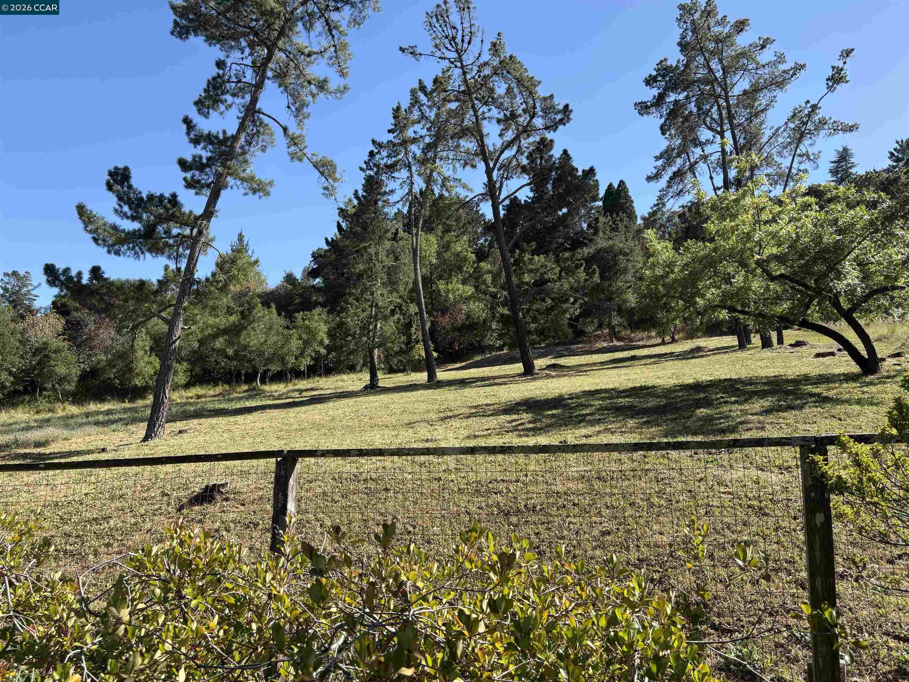 218 Overhill Road Orinda, CA 94563 - Photo 26 of 28