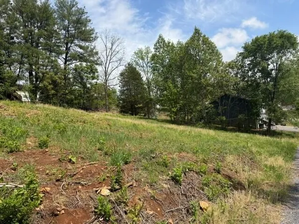 a view of a field with plants and trees