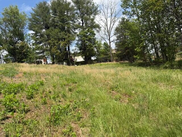 1814 Hardy Road Vinton, VA 24179 - Photo 2 of 2 a view of yard with green space