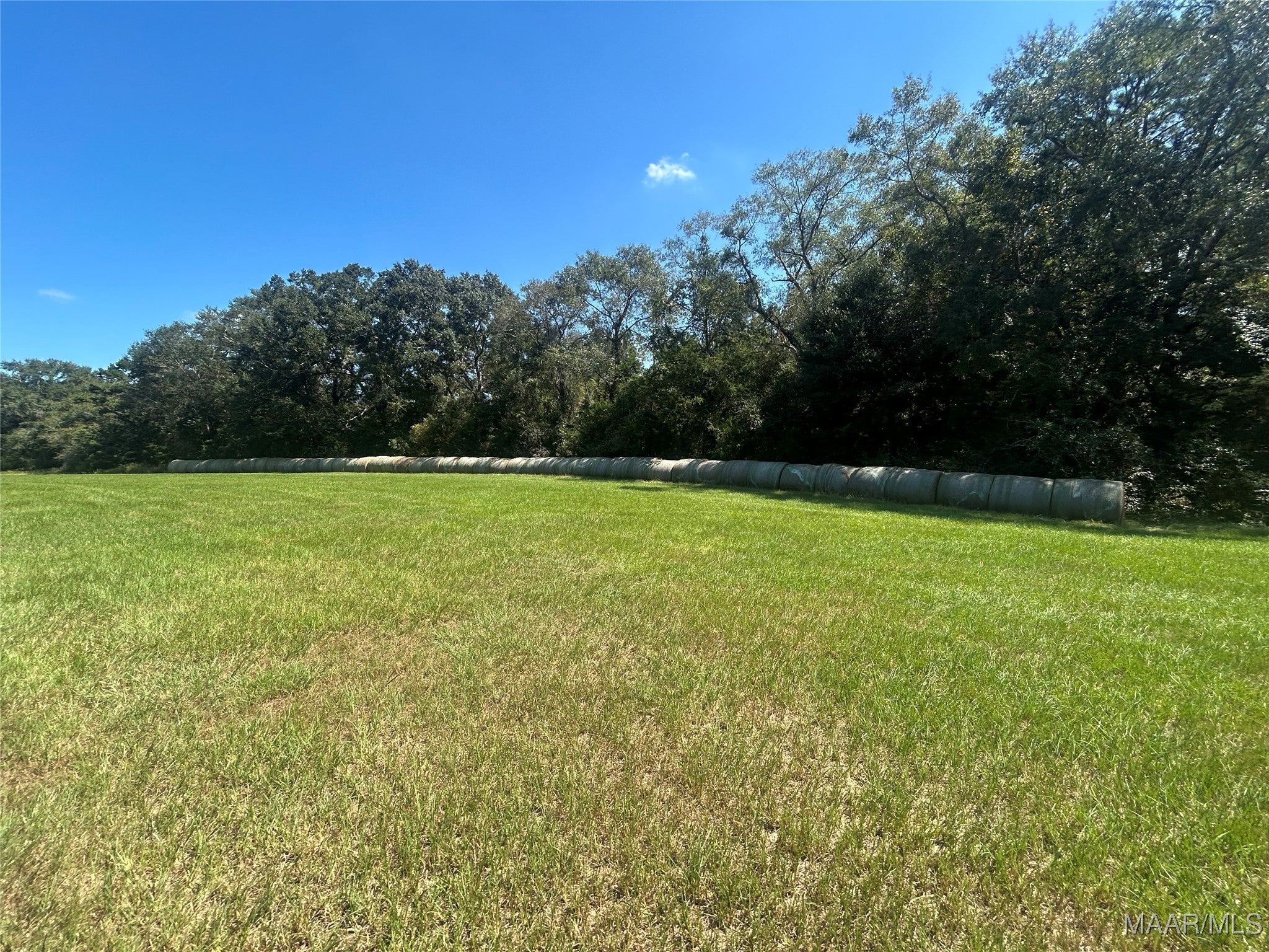 355 County Road 5522 Road Troy, AL 36081 - Photo 3 of 8 Gallery Image 3