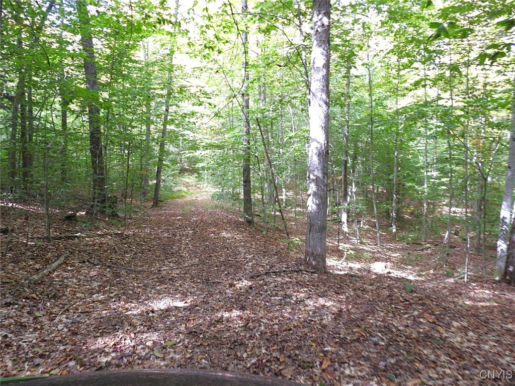 9219 North Pond Road Boonville, NY 13309 - Photo 39 of 43 Trails for hiking, wheeling, hunting