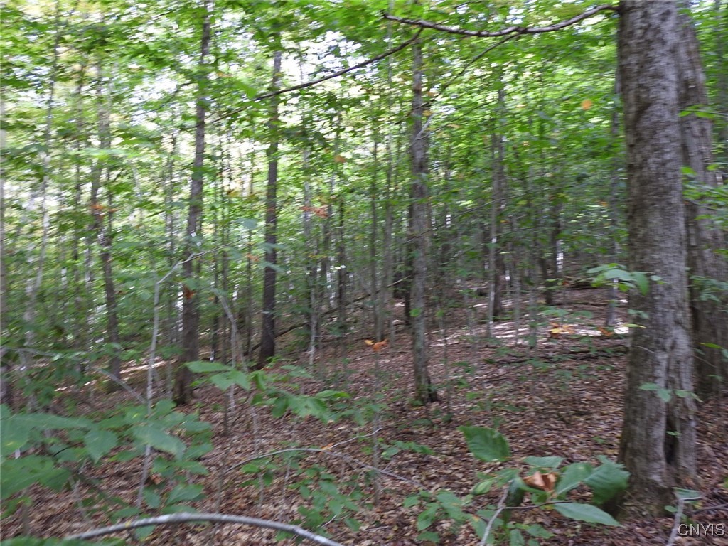 9219 North Pond Road Boonville, NY 13309 - Photo 41 of 43 Meditation city