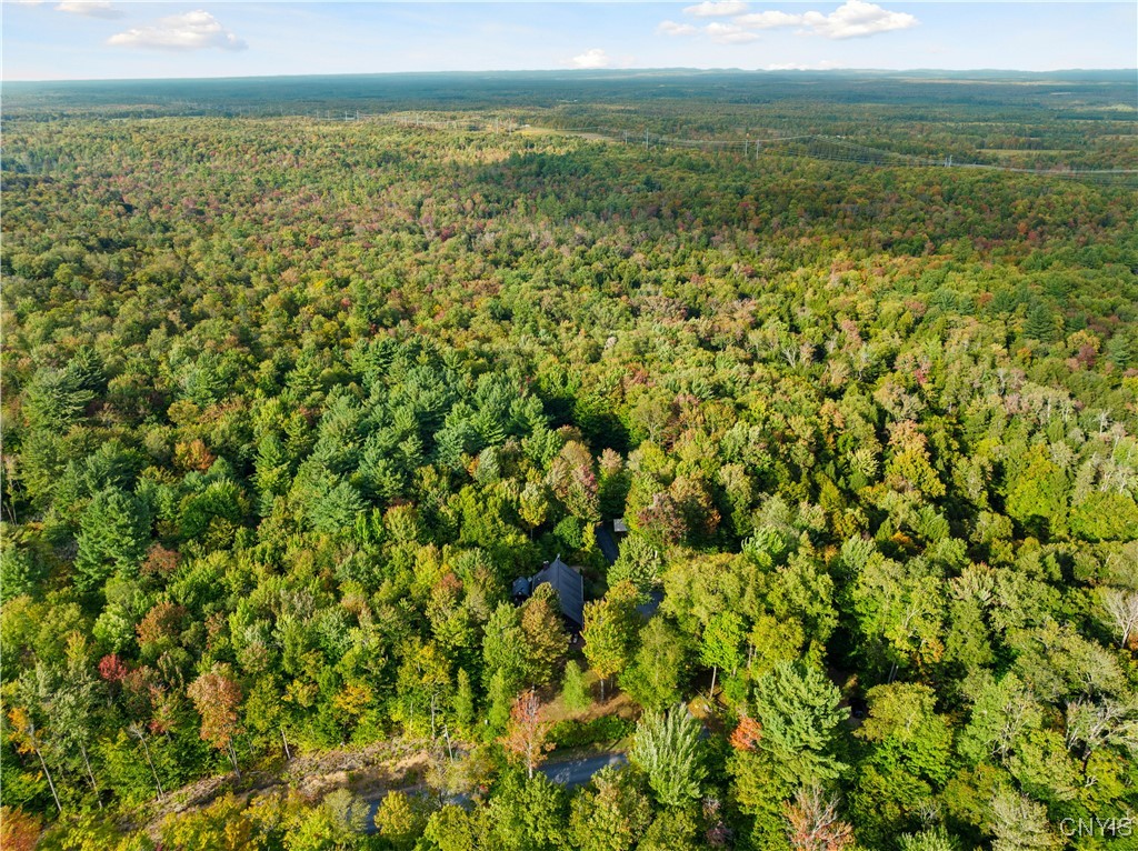 9219 North Pond Road Boonville, NY 13309 - Photo 42 of 43 20 Acres