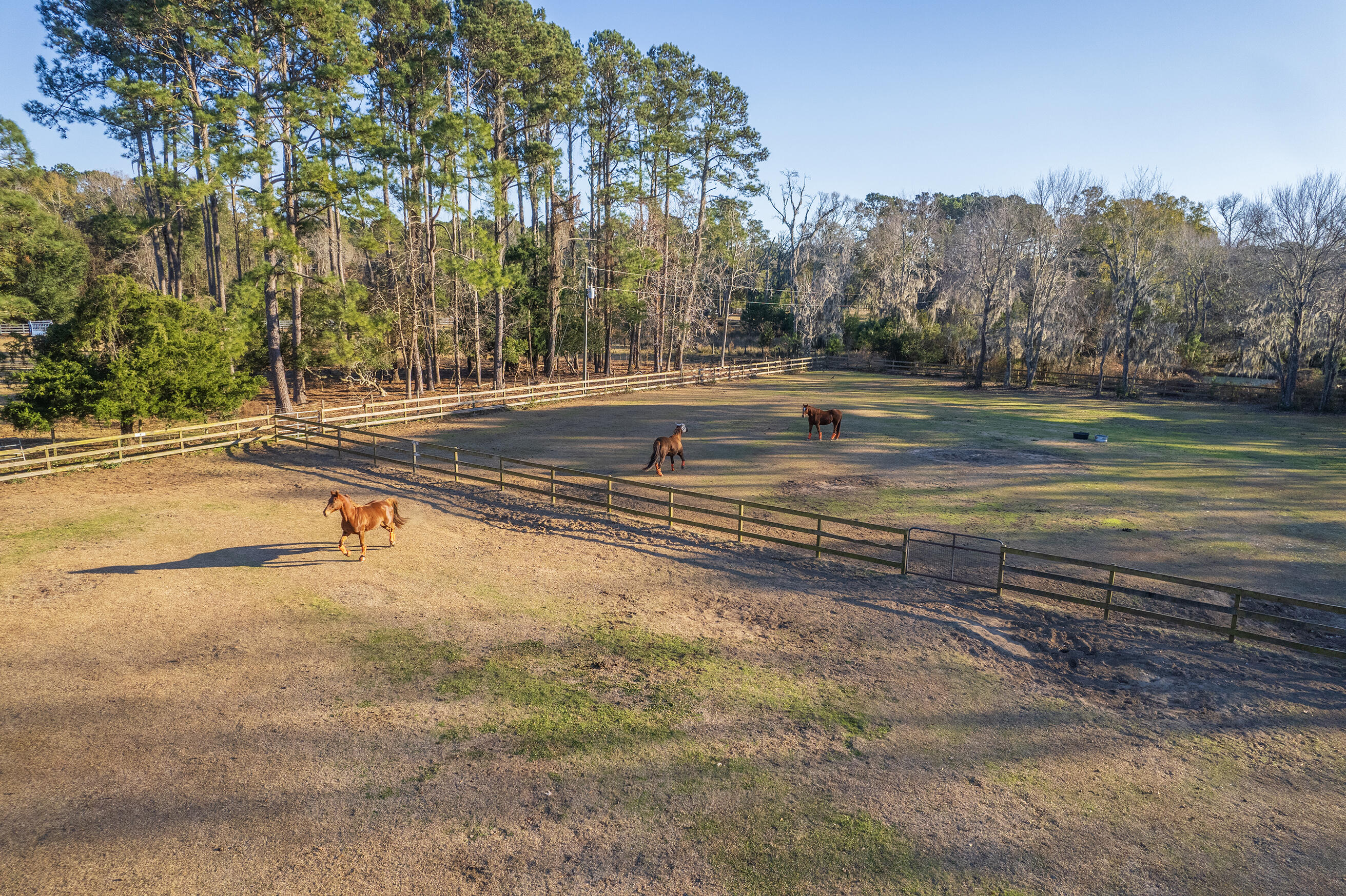 3980 River Road Johns Island, SC 29455 - Photo 22 of 110 Zyndicate160