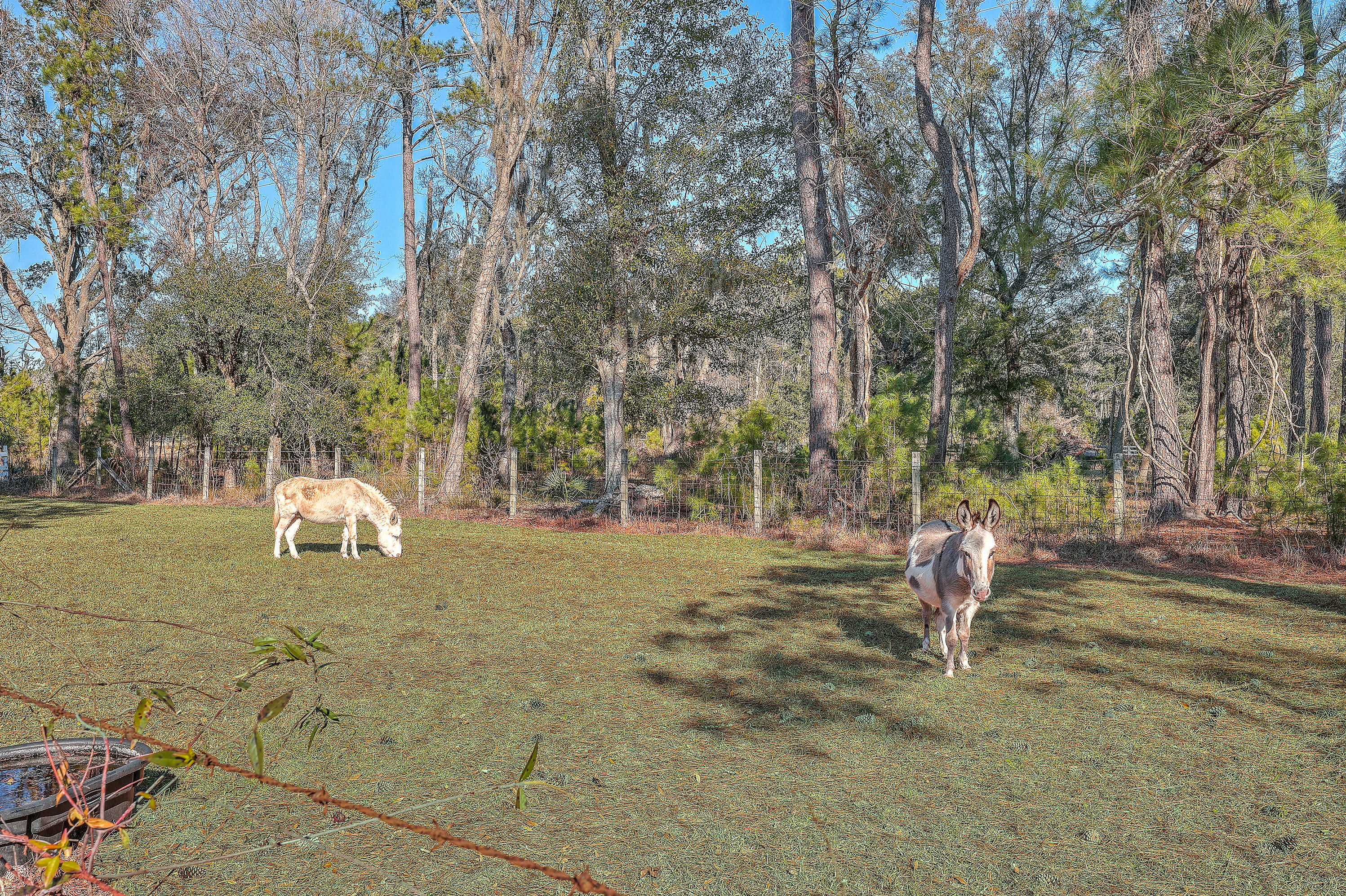 3980 River Road Johns Island, SC 29455 - Photo 23 of 110 ZYN_8100_1_2_3_4_5_6