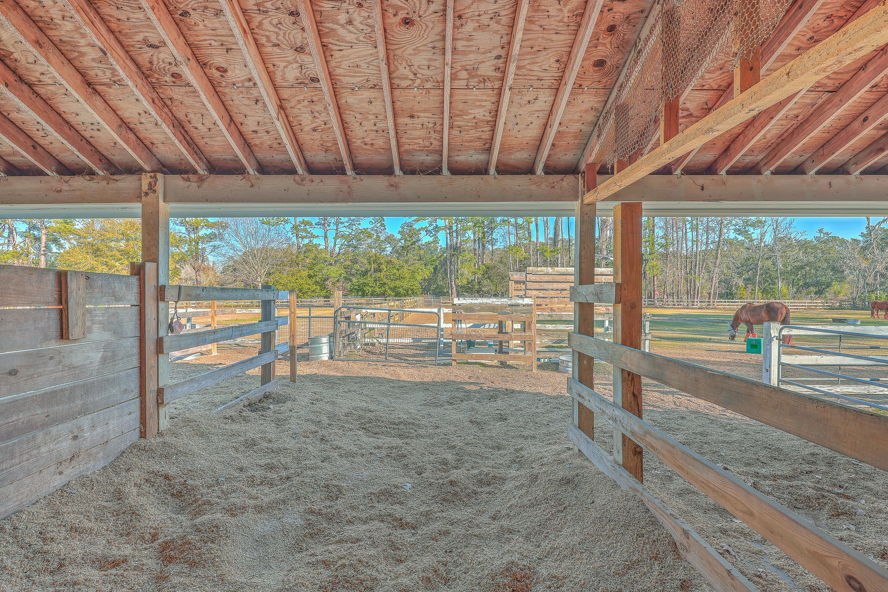 3980 River Road Johns Island, SC 29455 - Photo 69 of 110 ZYN_8275_76_77_78_79_80_81