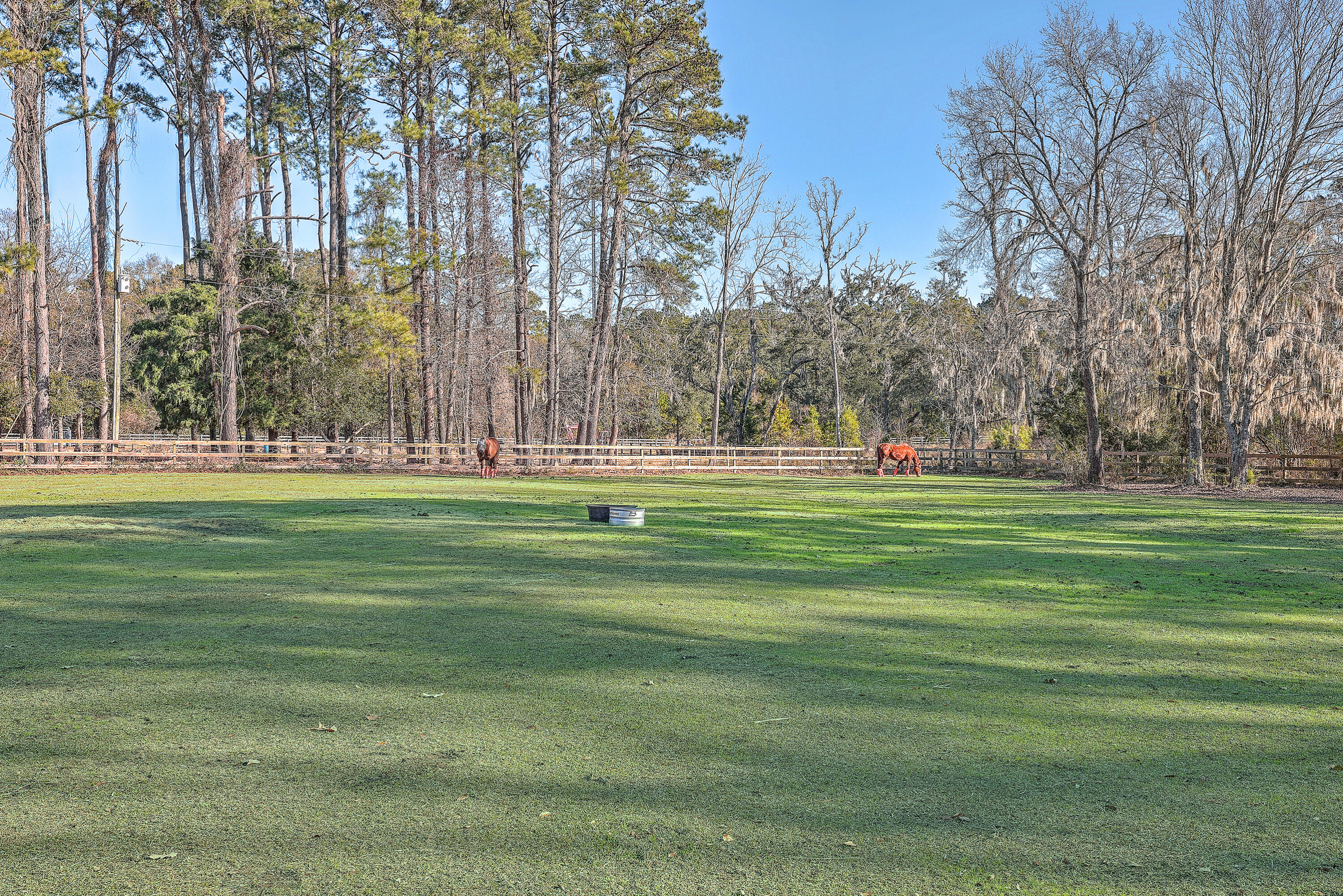 3980 River Road Johns Island, SC 29455 - Photo 83 of 110 ZYN_8212_3_4_5_6_7_8