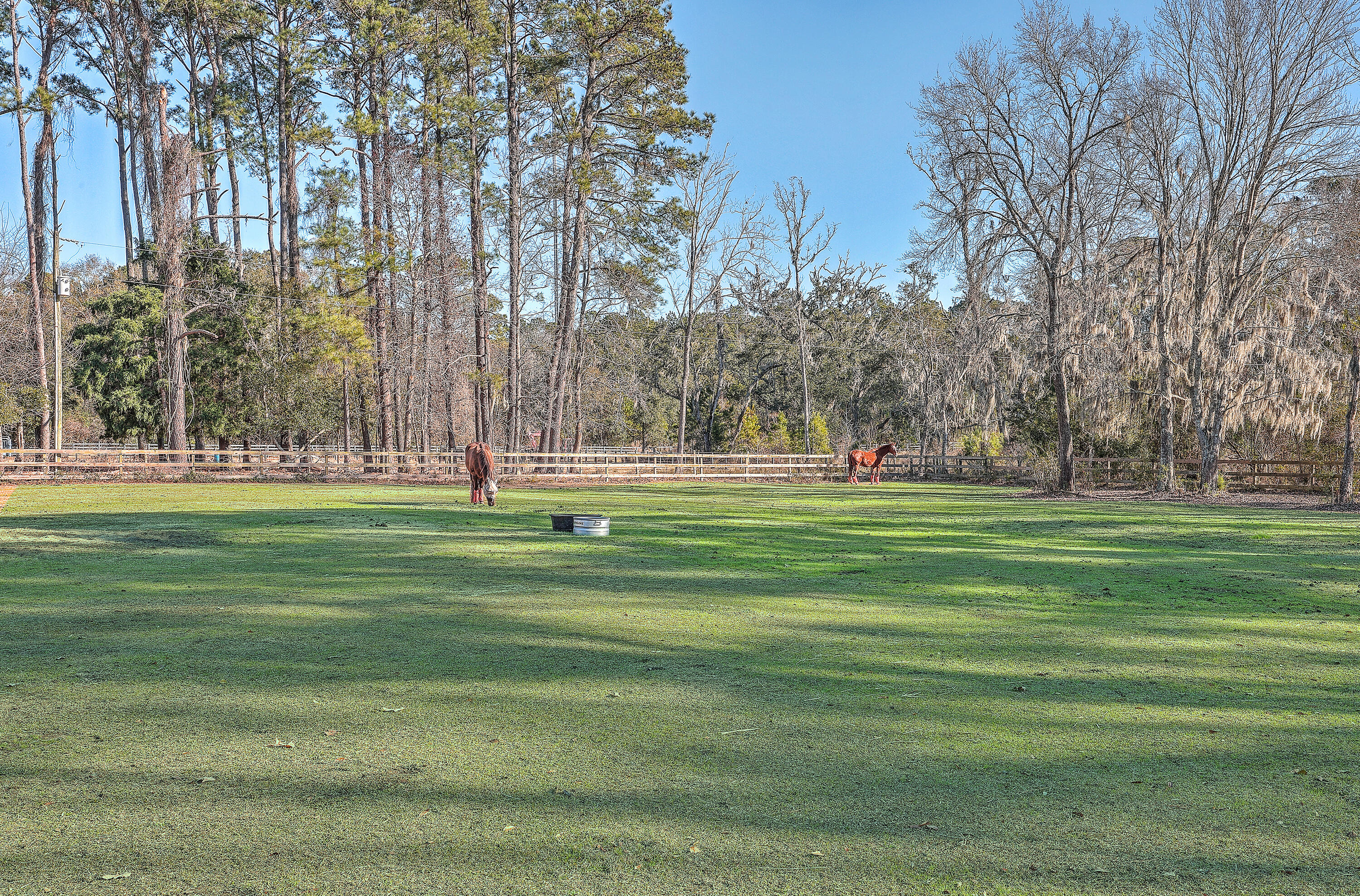 3980 River Road Johns Island, SC 29455 - Photo 84 of 110 ZYN_8226_27_28_29_30_31_32