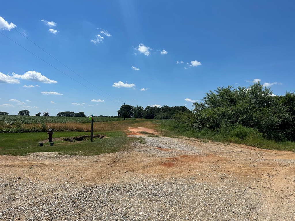 132.3-ac Green Road Dothan, AL 36303 - Photo 48 of 63