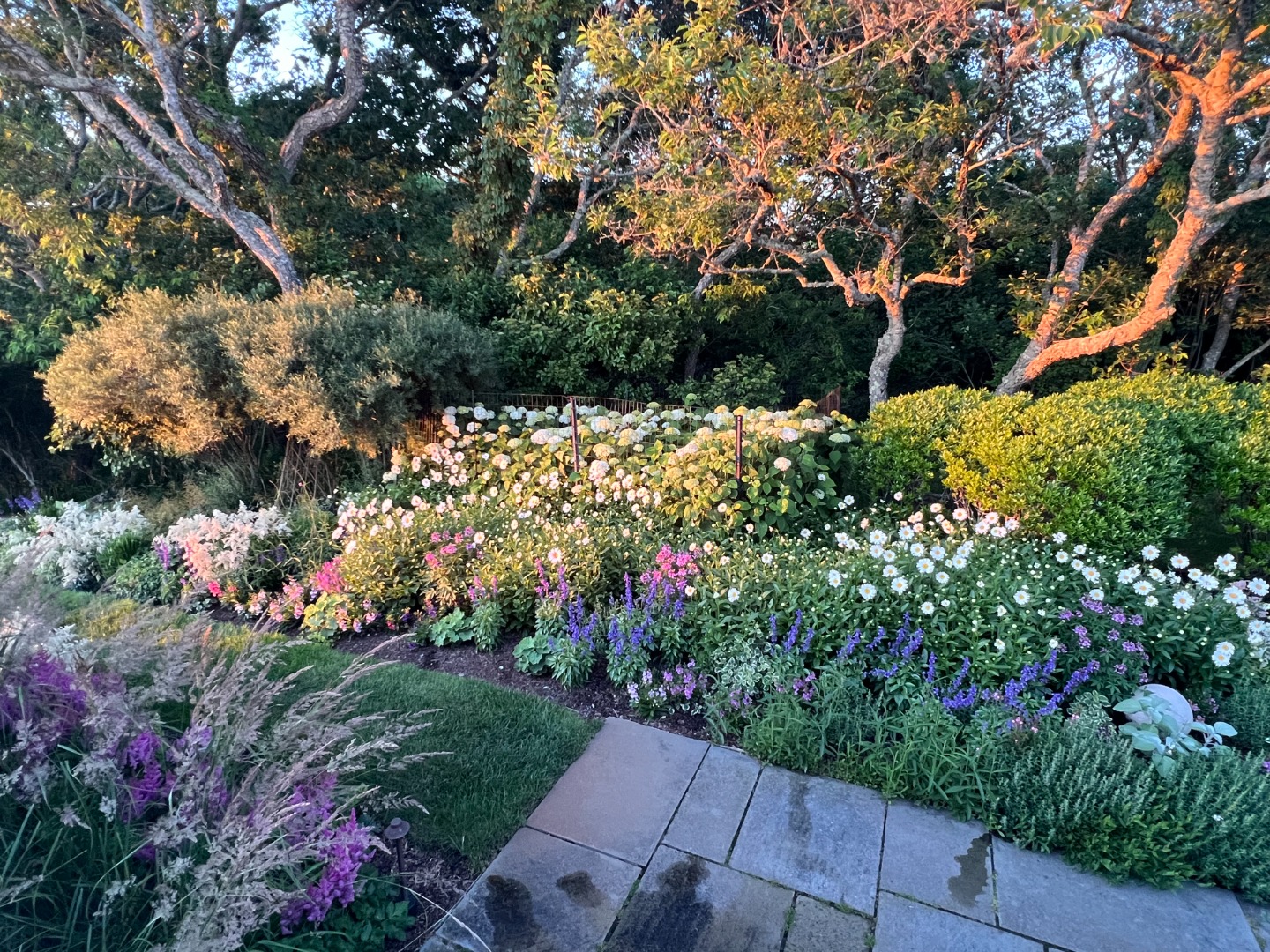 258 Polpis Road Nantucket, MA 02554 - Photo 34 of 44