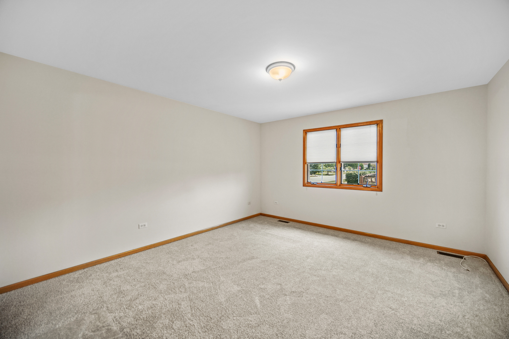 5109 West Ribbon Court Monee, IL 60449 - Photo 16 of 24 Gallery Image 16