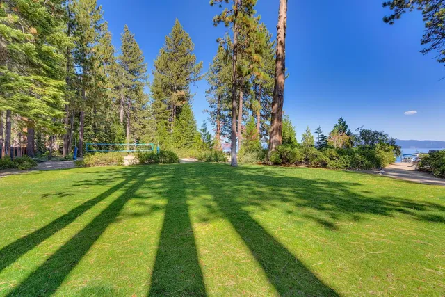a view of road with large trees