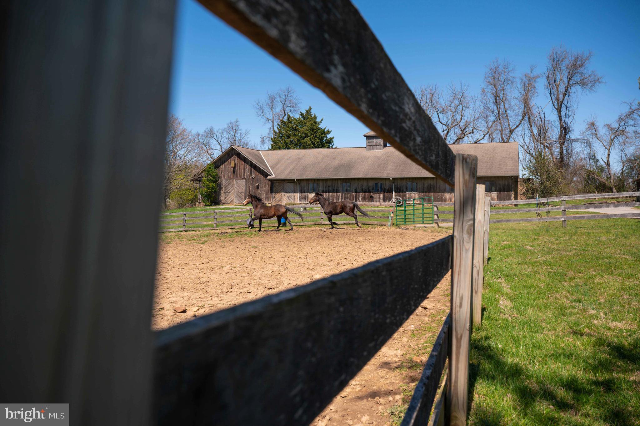 2 Glenberry Court Phoenix, MD 21131 - Photo 17 of 72