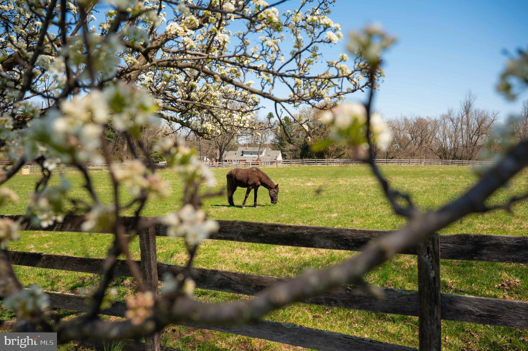2 Glenberry Court Phoenix, MD 21131 - Photo 20 of 72