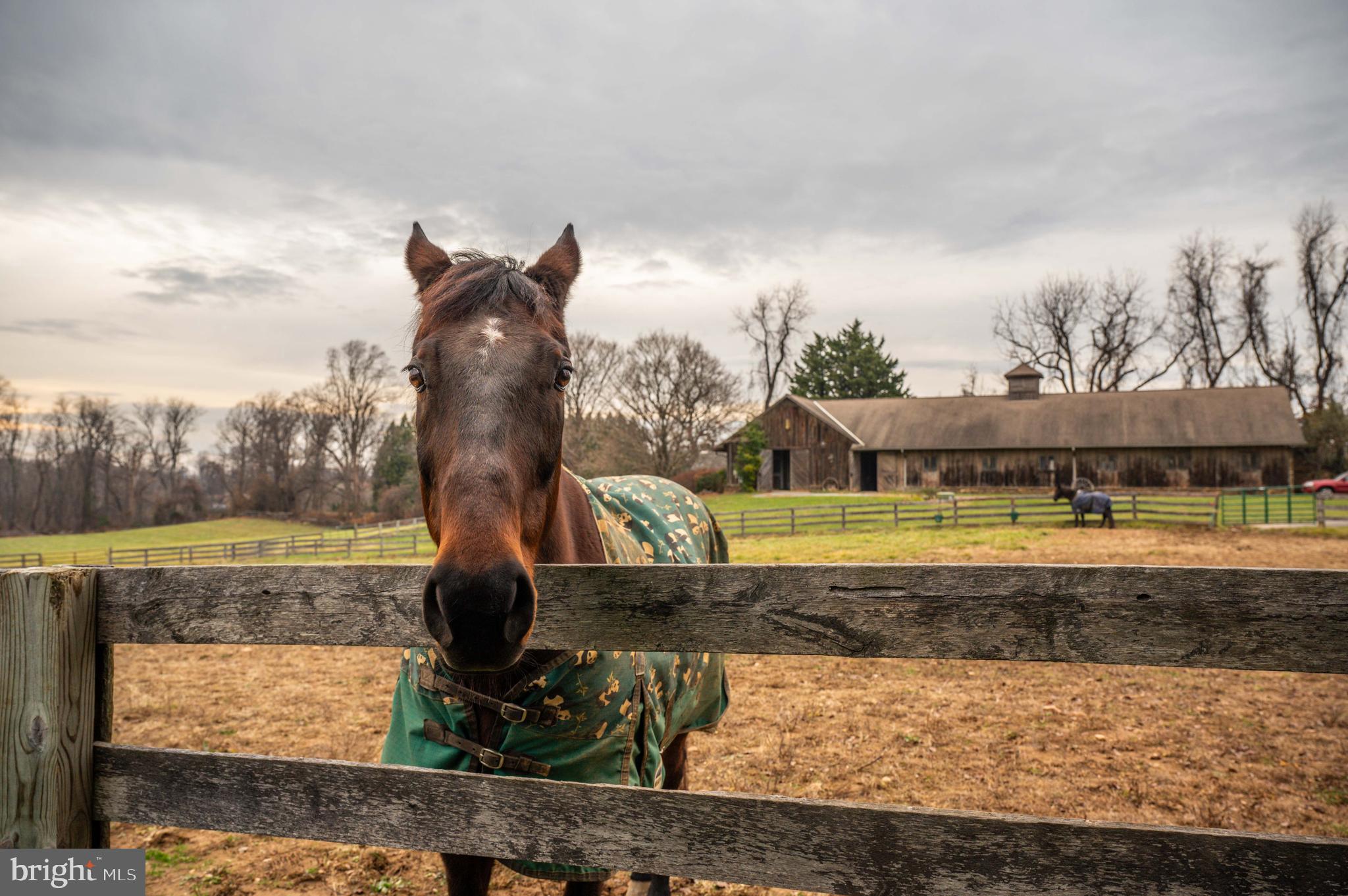 2 Glenberry Court Phoenix, MD 21131 - Photo 37 of 72
