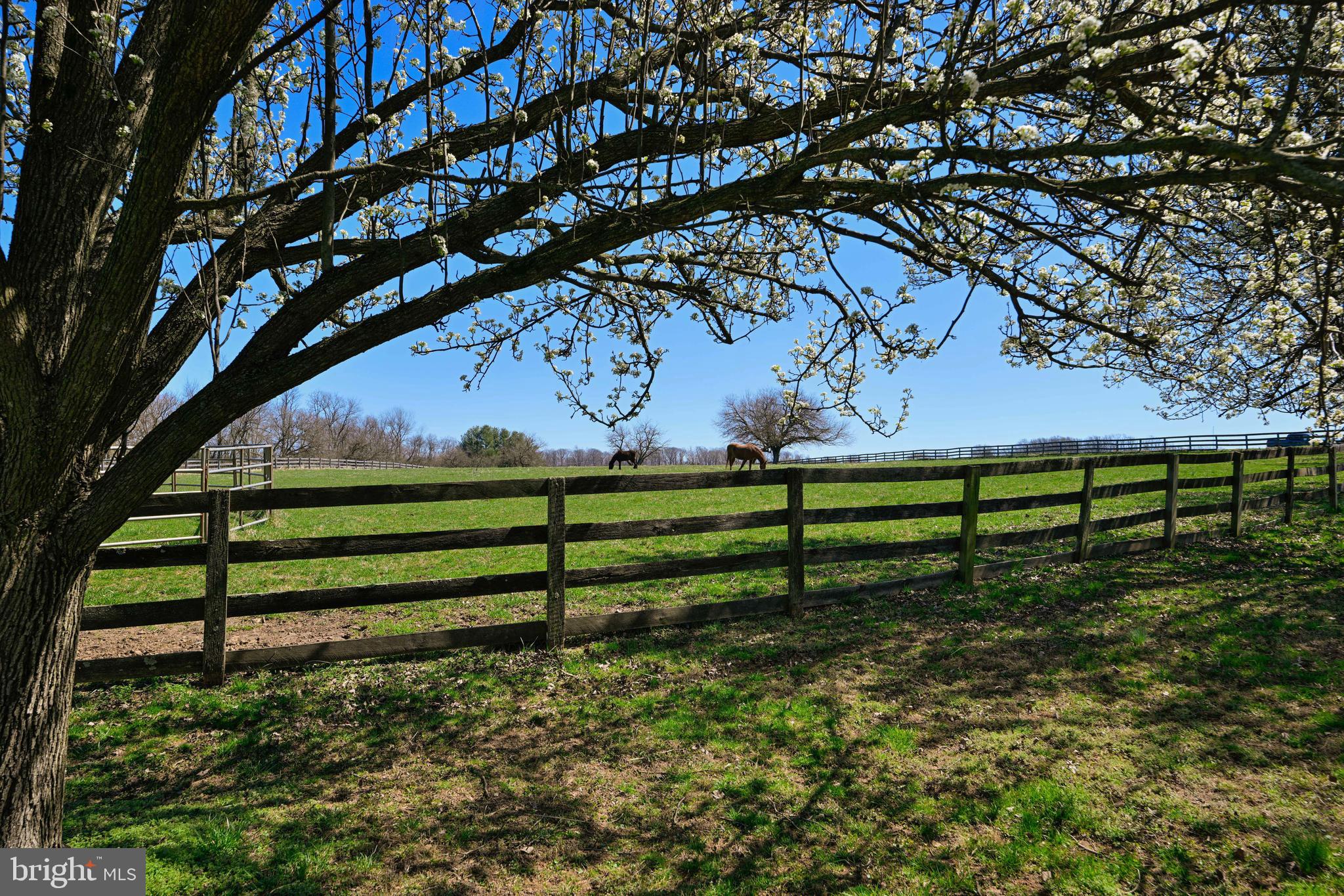 2 Glenberry Court Phoenix, MD 21131 - Photo 46 of 72