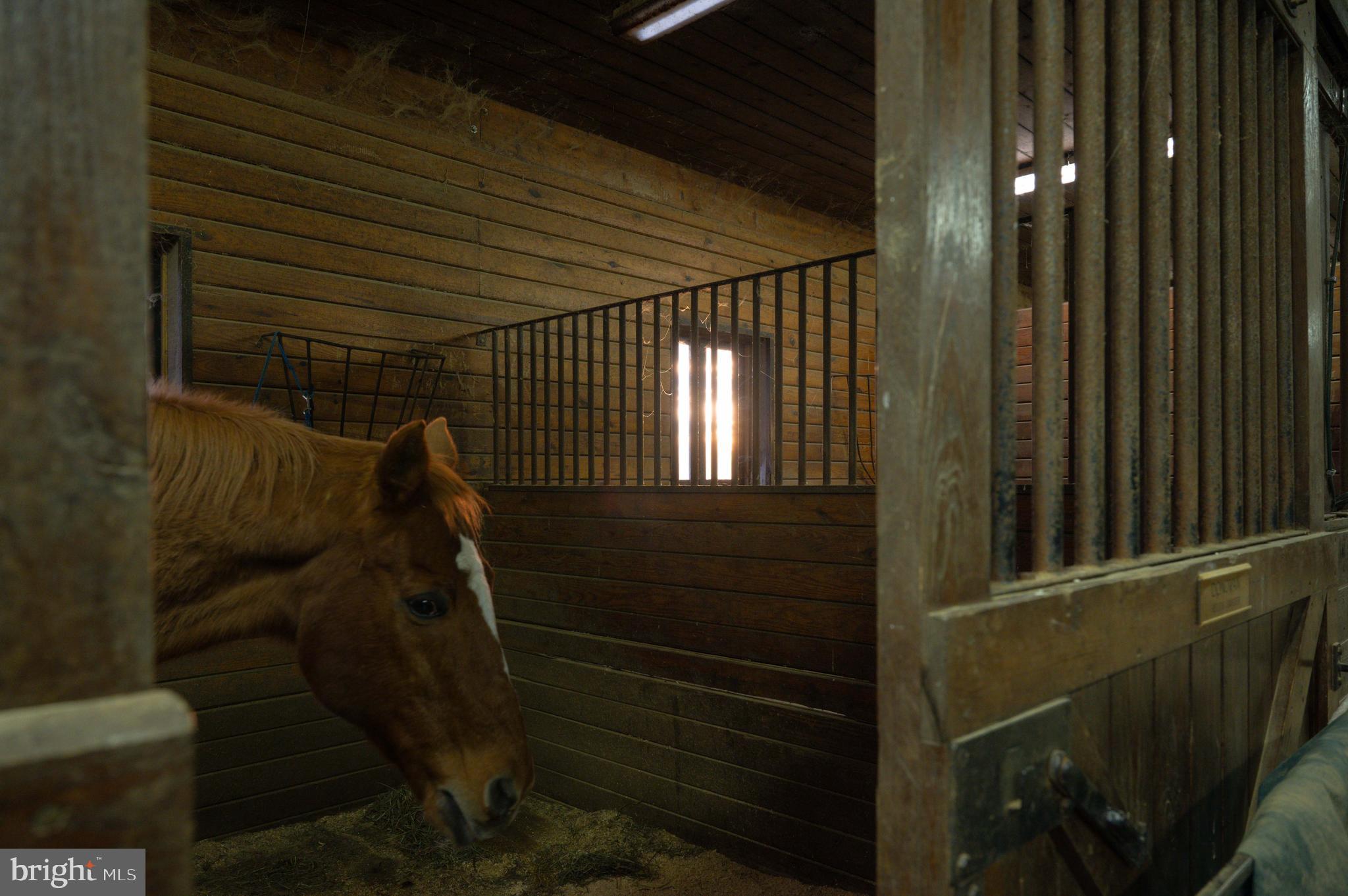 2 Glenberry Court Phoenix, MD 21131 - Photo 65 of 72