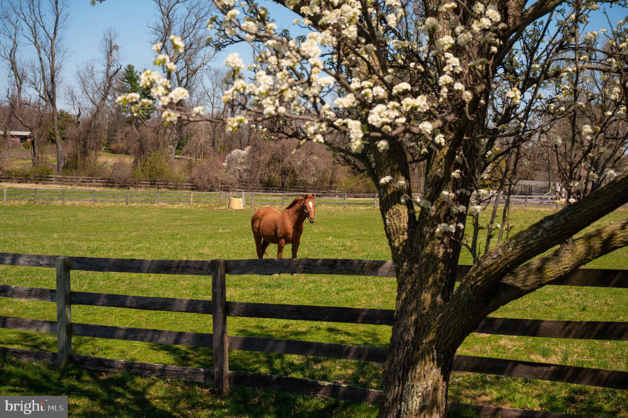2 Glenberry Court Phoenix, MD 21131 - Photo 7 of 72