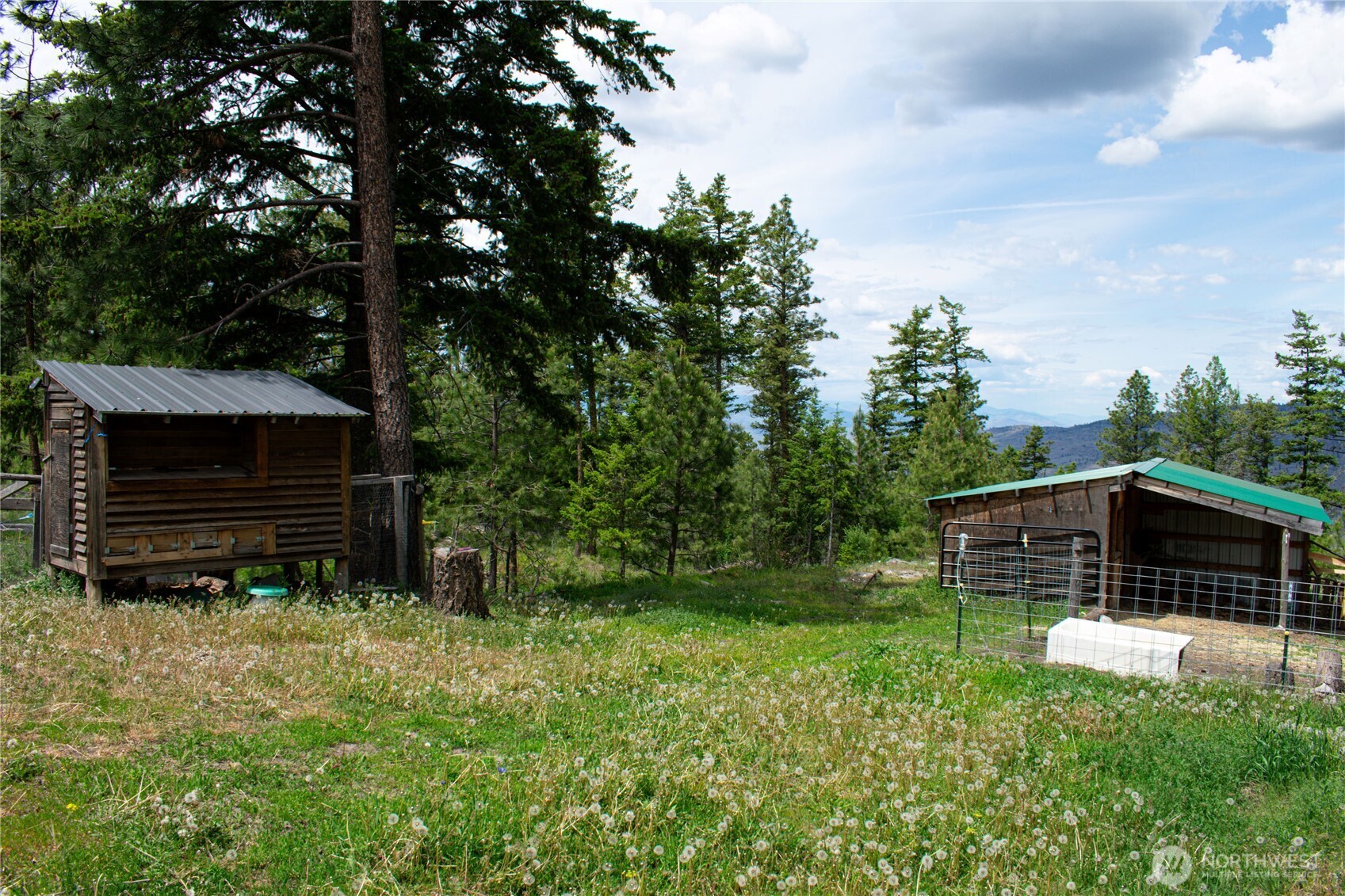 93 Blue Creek Road Riverside, WA 98849 - Photo 29 of 39 Gallery Image 29