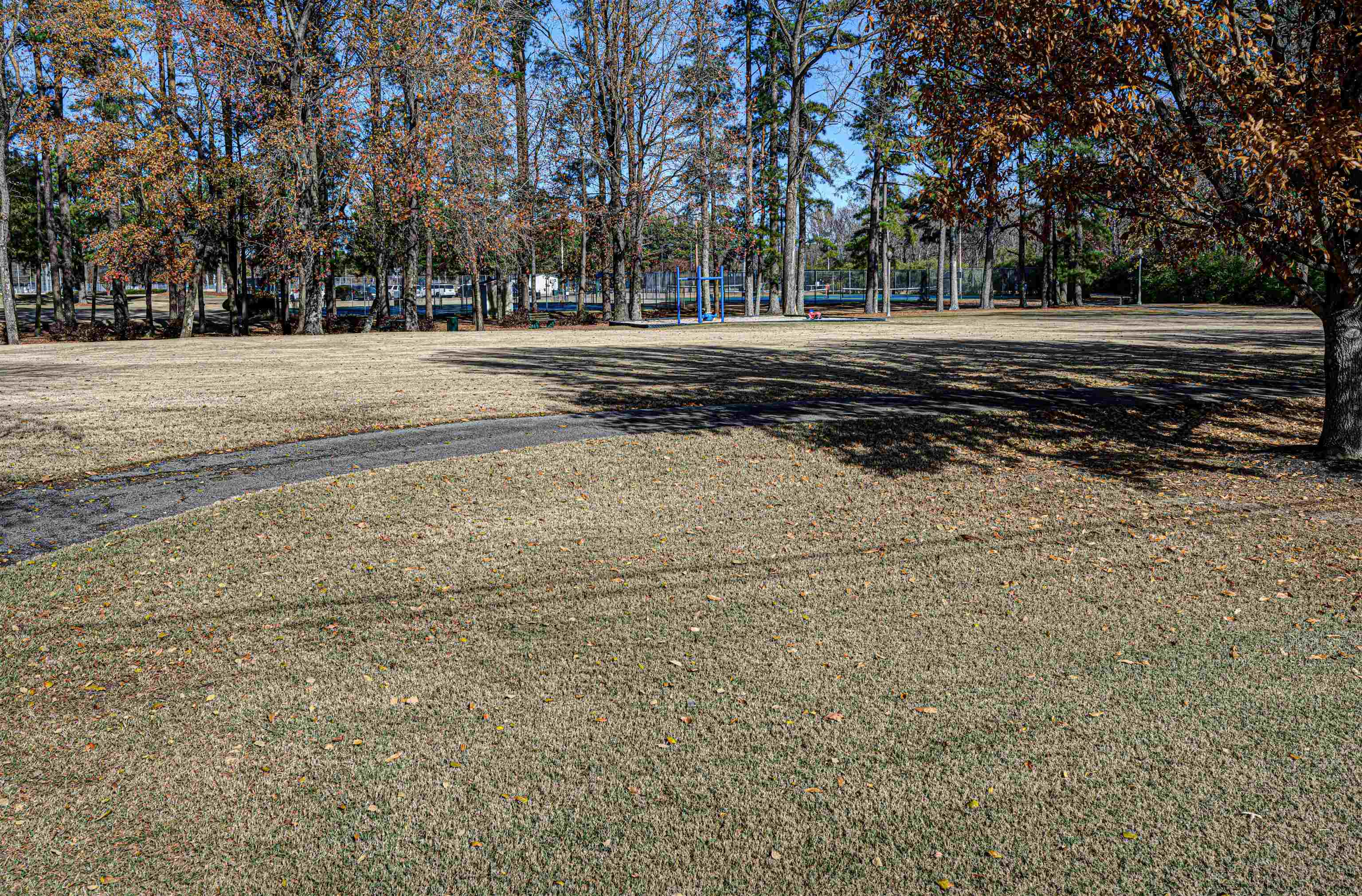 765 Pine Grove Cove Collierville, TN 38017 - Photo 29 of 31 a view of a yard with large trees