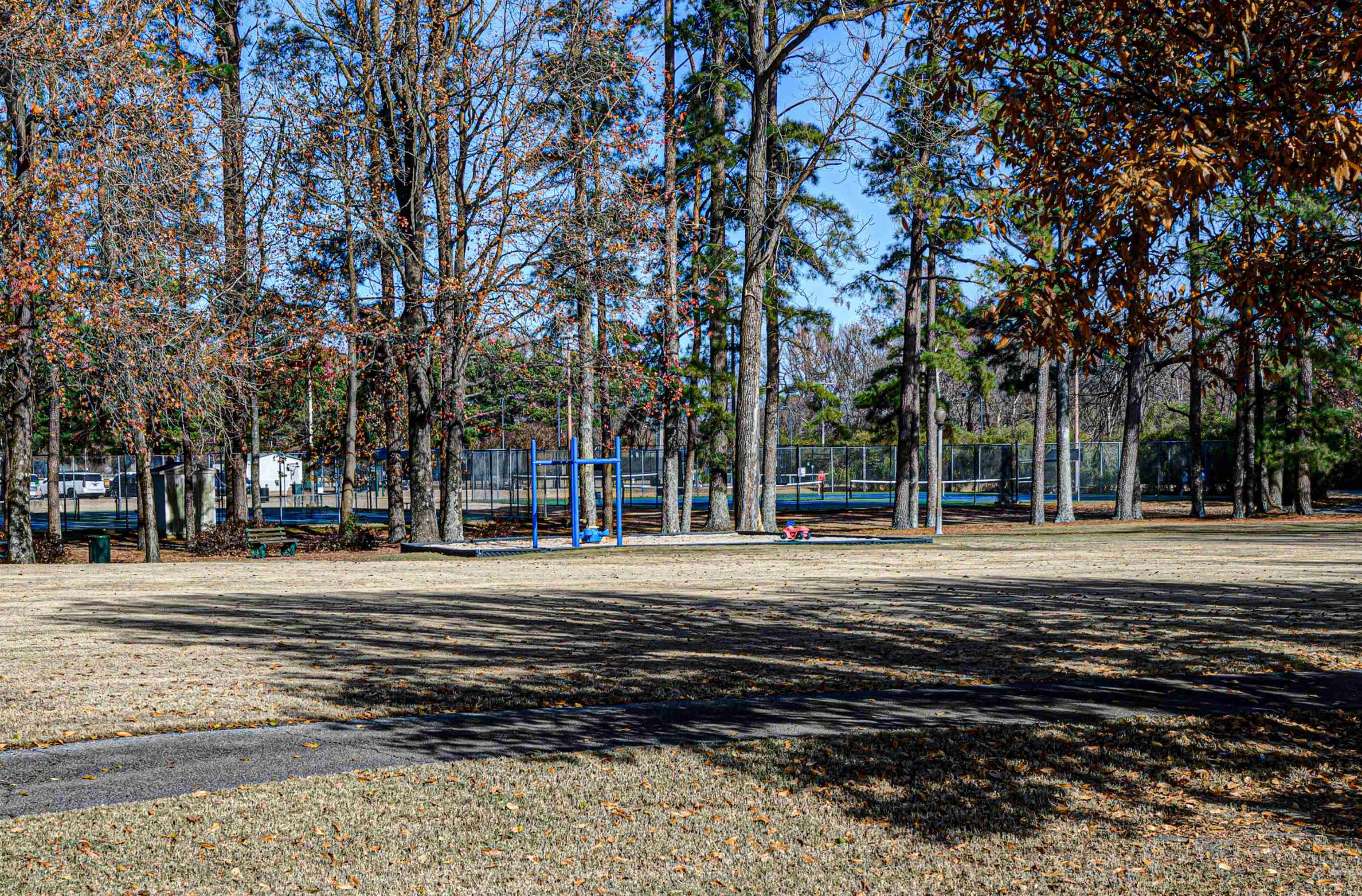 765 Pine Grove Cove Collierville, TN 38017 - Photo 30 of 31 a big yard with trees