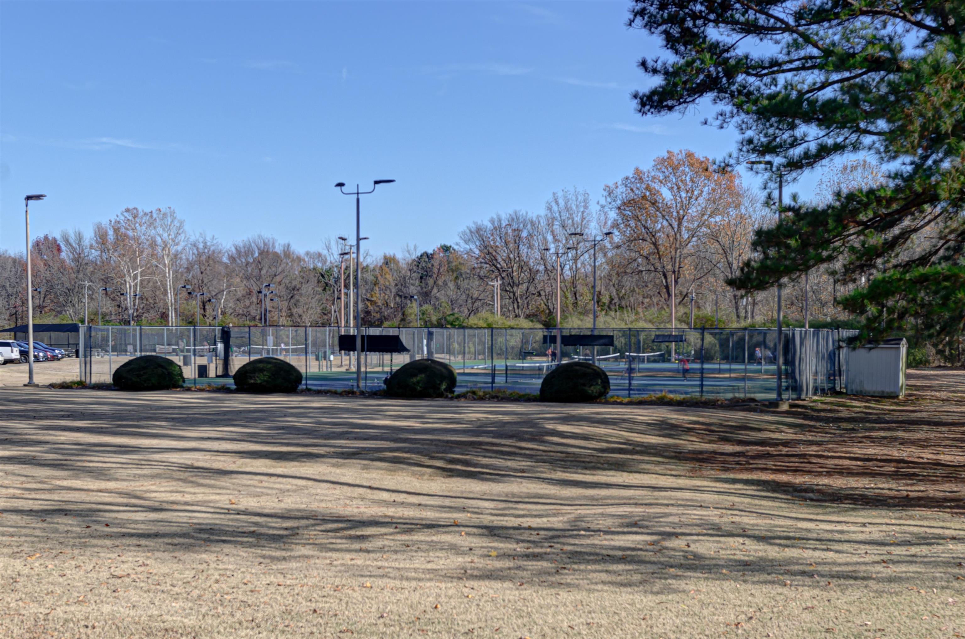765 Pine Grove Cove Collierville, TN 38017 - Photo 31 of 31 a view of a house with a outdoor space