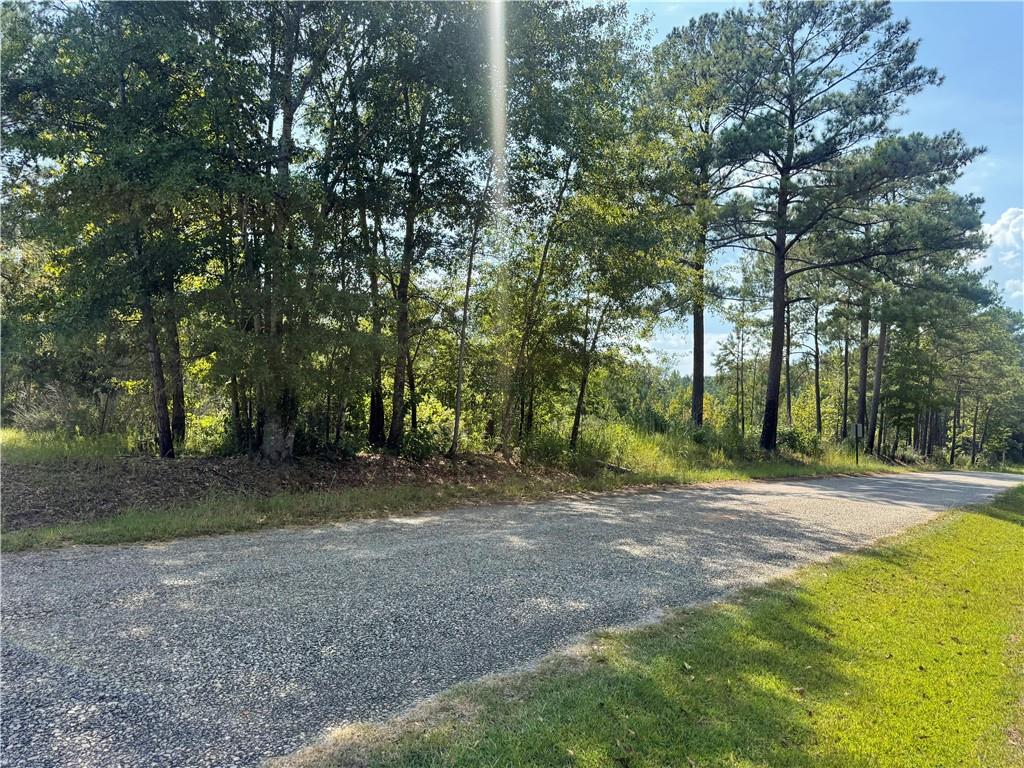 0 Bethel Road Seale, AL 36875 - Photo 9 of 14 Gravel road with a grassy shoulder, bordered by mature trees and natural landscaping