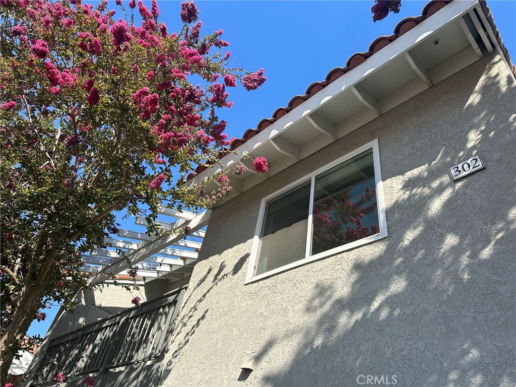 302 Lemon Grove Irvine, CA 92618 - Photo 2 of 6 a picture of flowers