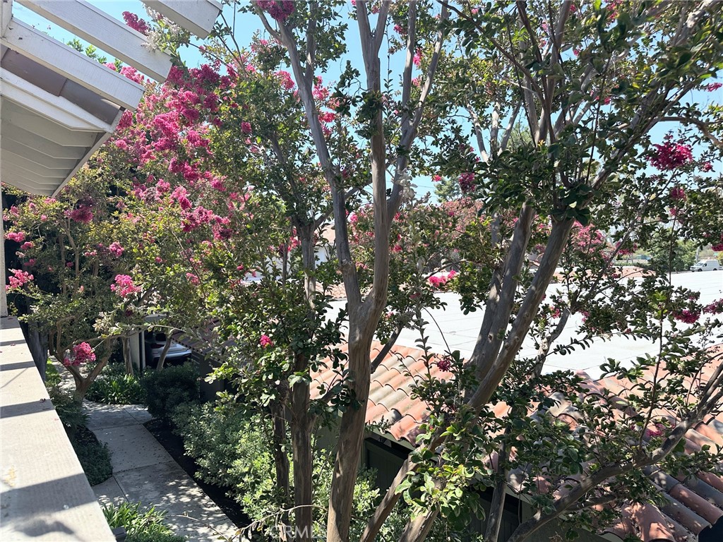 302 Lemon Grove Irvine, CA 92618 - Photo 3 of 6