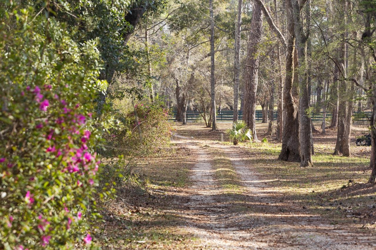 398 Tecumseh Road Monticello, FL 32344 - Photo 38 of 41