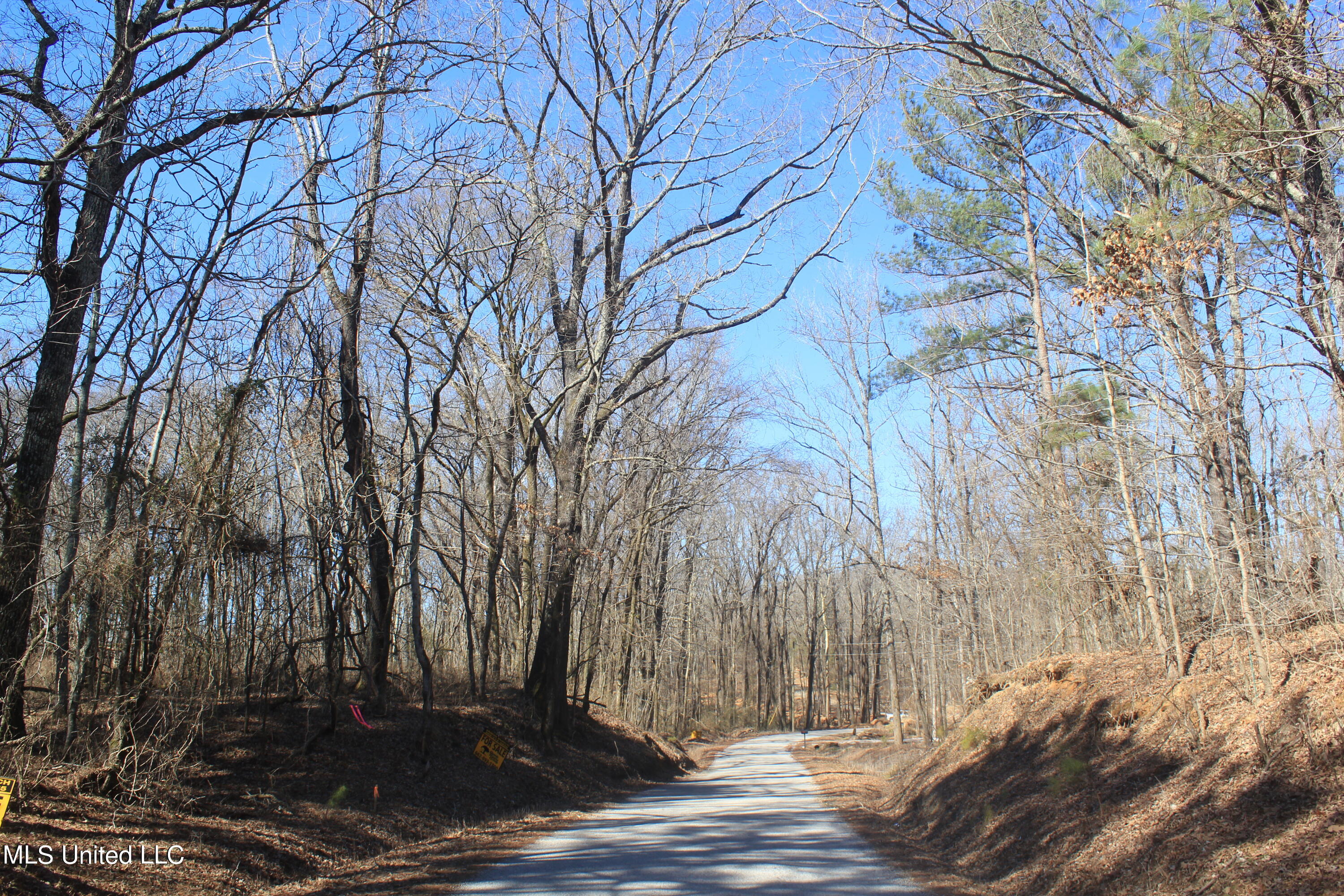 14 Hogan Road Holly Springs, MS 38635 - Photo 1 of 19 Land