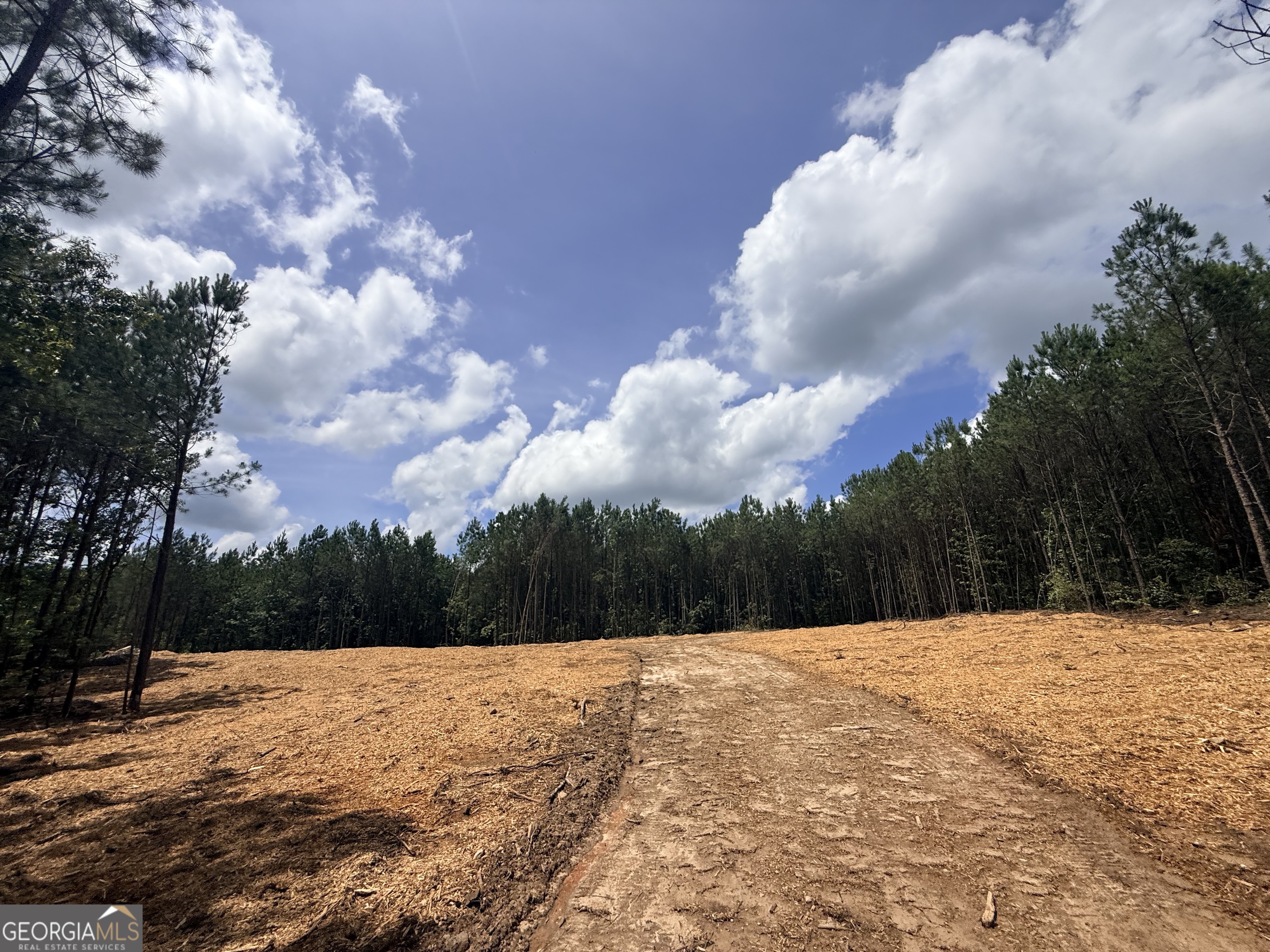 2787 Cedar Creek Road Elberton, GA 30635 - Photo 86 of 88