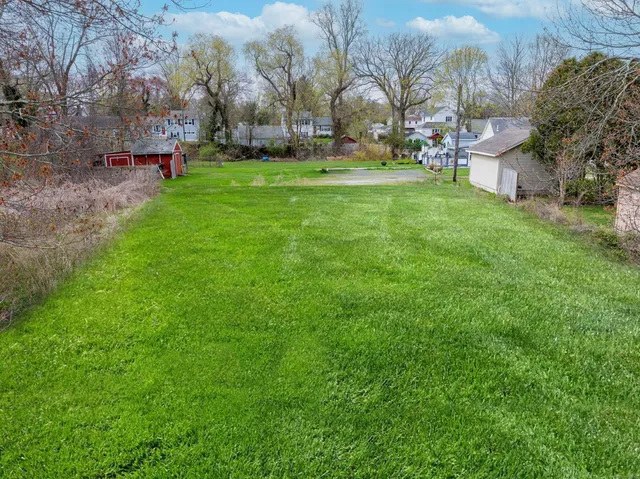 a view of a park with large trees