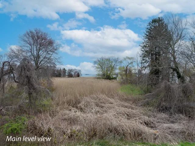 a view of a dry yard