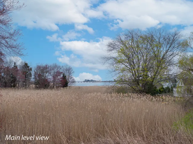 a view of a yard of a house with a lake