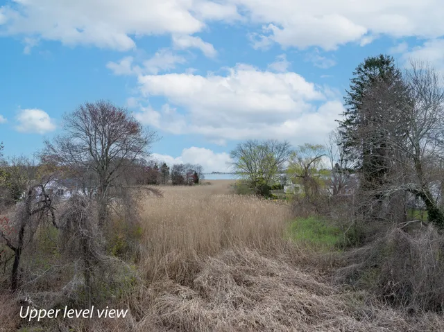 a view of a dry yard