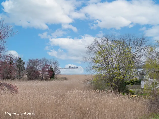 a view of a dry yard with wooden fence