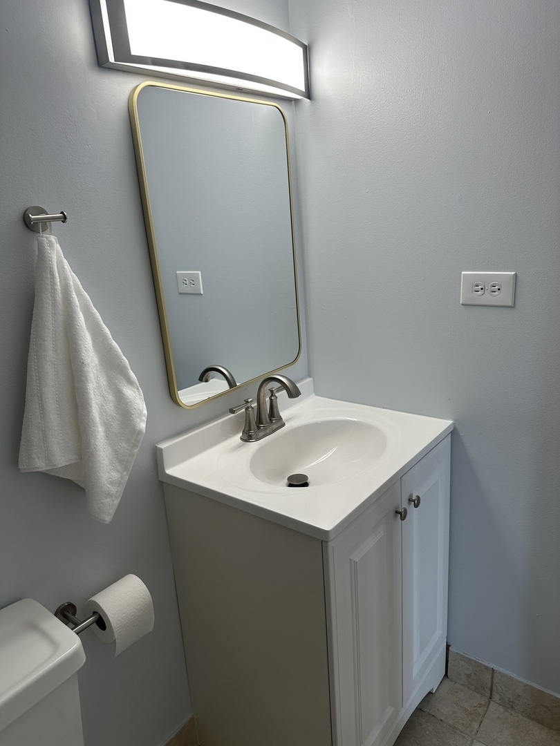 1463 Mercury Drive, Unit 304 Schaumburg, IL 60193 - Photo 13 of 13 a bathroom with a sink and mirror with toilet