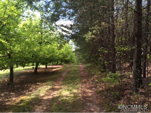 Tbd Blanton Road Mill Spring, NC 28756 - Photo 11 of 15 a view of dirt yard with a tree