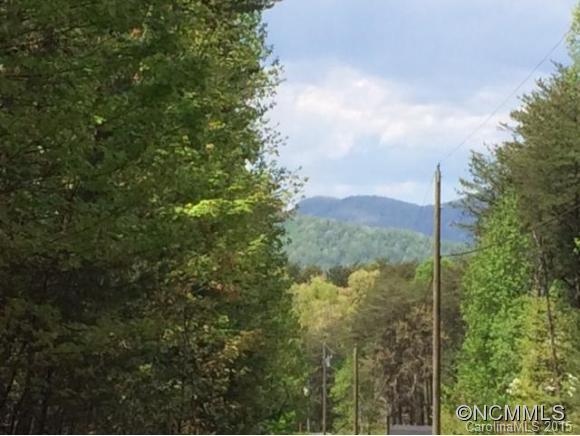 Tbd Blanton Road Mill Spring, NC 28756 - Photo 12 of 15 a view of a city with lush green forest