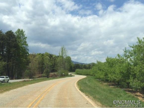 Tbd Blanton Road Mill Spring, NC 28756 - Photo 15 of 15