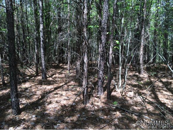 Tbd Blanton Road Mill Spring, NC 28756 - Photo 5 of 15 a view of a forest with trees